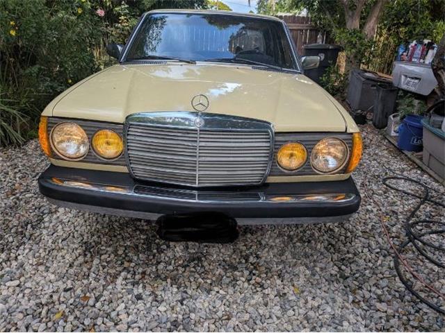 1977 Mercedes-Benz 300D (CC-2067728) for sale in Cadillac, Michigan