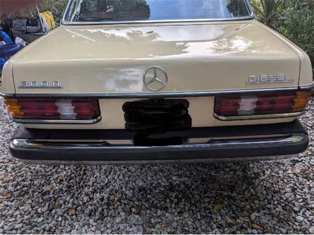 1977 Mercedes-Benz 300D (CC-2067728) for sale in Cadillac, Michigan