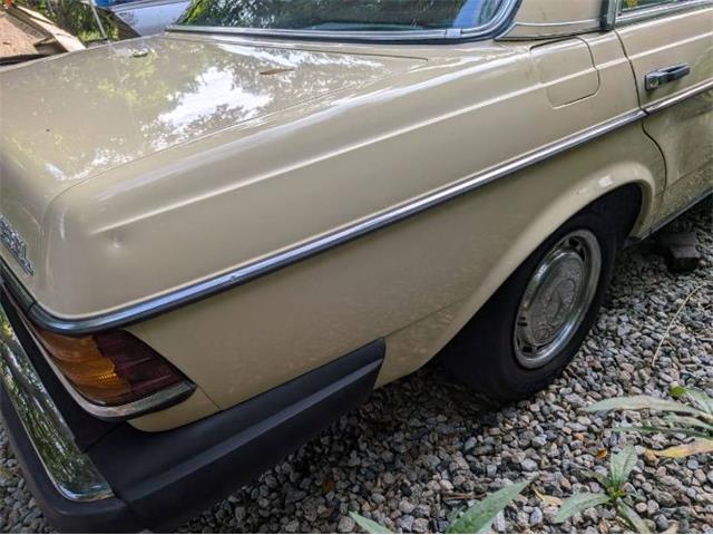 1977 Mercedes-Benz 300D (CC-2067728) for sale in Cadillac, Michigan