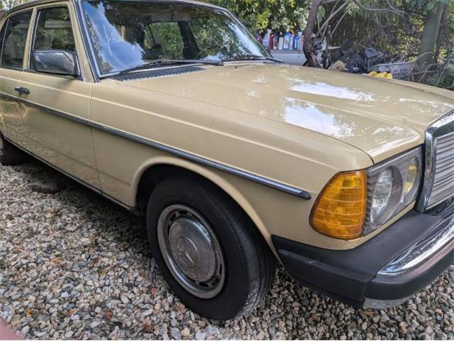 1977 Mercedes-Benz 300D (CC-2067728) for sale in Cadillac, Michigan