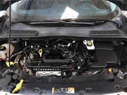 2019 Ford Escape (CC-2067749) for sale in Greensboro, North Carolina