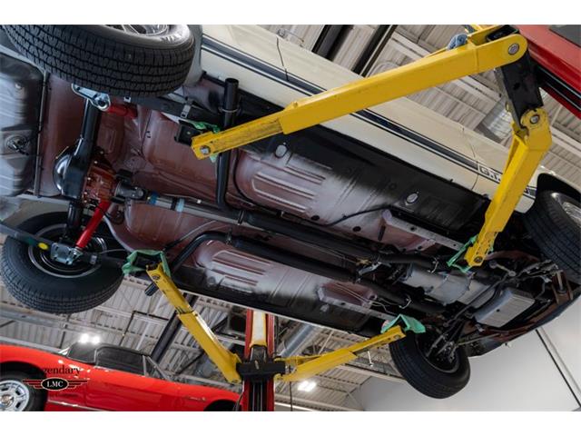 1965 Shelby GT350 (CC-2067803) for sale in Halton Hills, Ontario