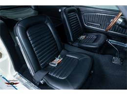 1965 Shelby GT350 (CC-2067803) for sale in Halton Hills, Ontario