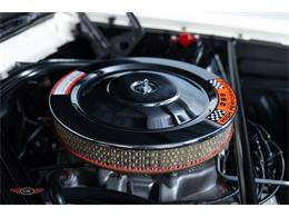 1965 Shelby GT350 (CC-2067803) for sale in Halton Hills, Ontario