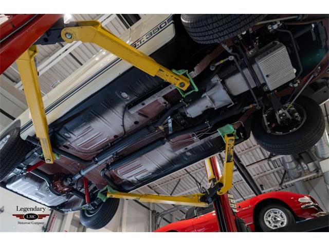 1965 Shelby GT350 (CC-2067803) for sale in Halton Hills, Ontario