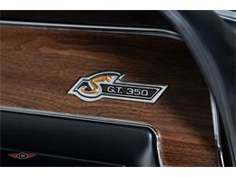 1968 Shelby GT350 (CC-2067809) for sale in Halton Hills, Ontario