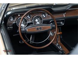 1968 Shelby GT350 (CC-2067809) for sale in Halton Hills, Ontario