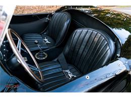 1966 Shelby Cobra (CC-2067810) for sale in Halton Hills, Ontario