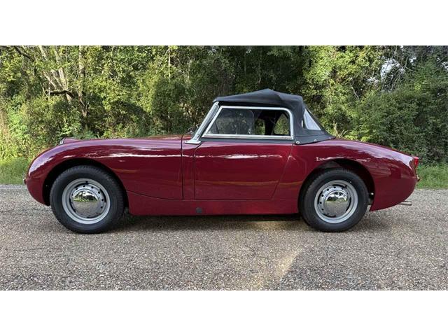 1961 Austin-Healey Sprite (CC-2067832) for sale in Biloxi, Mississippi
