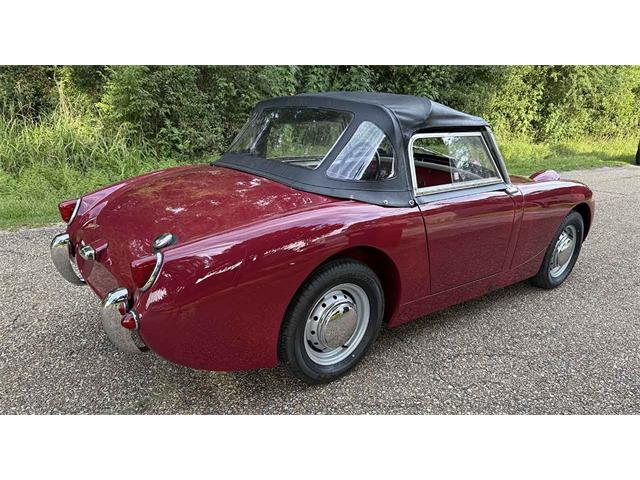 1961 Austin-Healey Sprite (CC-2067832) for sale in Biloxi, Mississippi