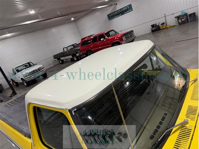 1979 Ford F150 (CC-2067858) for sale in Holland , Michigan