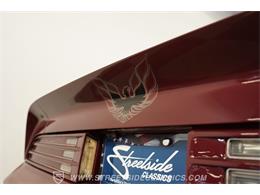 1976 Pontiac Firebird (CC-2067900) for sale in Mesa, Arizona