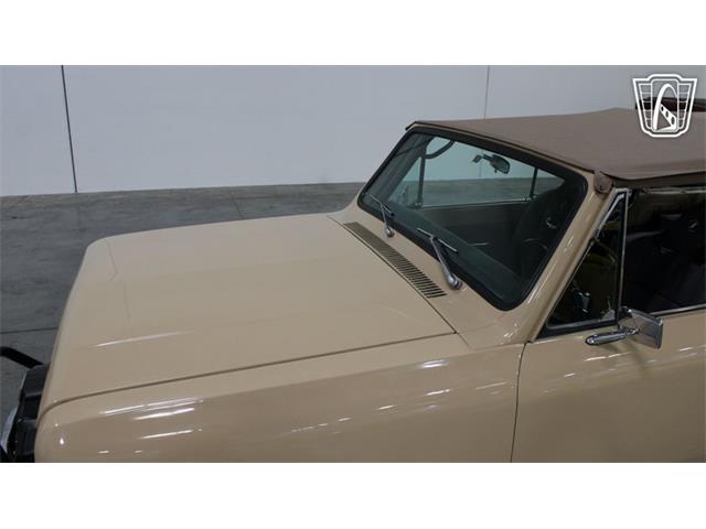 1974 International Scout (CC-2067936) for sale in Las Vegas, Nevada