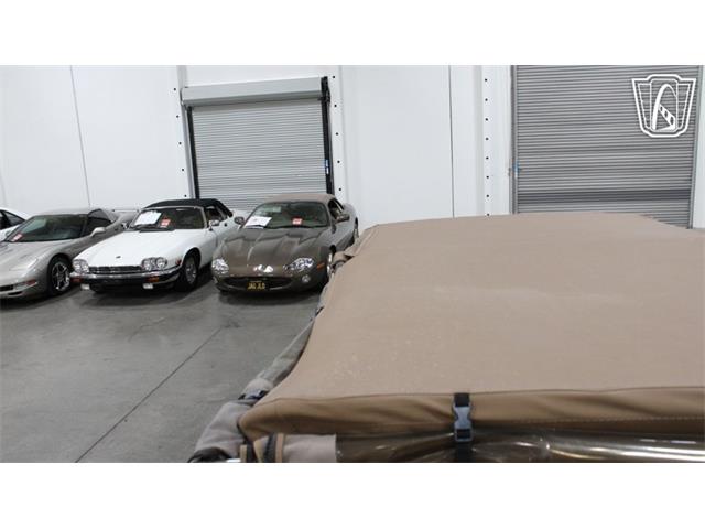 1974 International Scout (CC-2067936) for sale in Las Vegas, Nevada