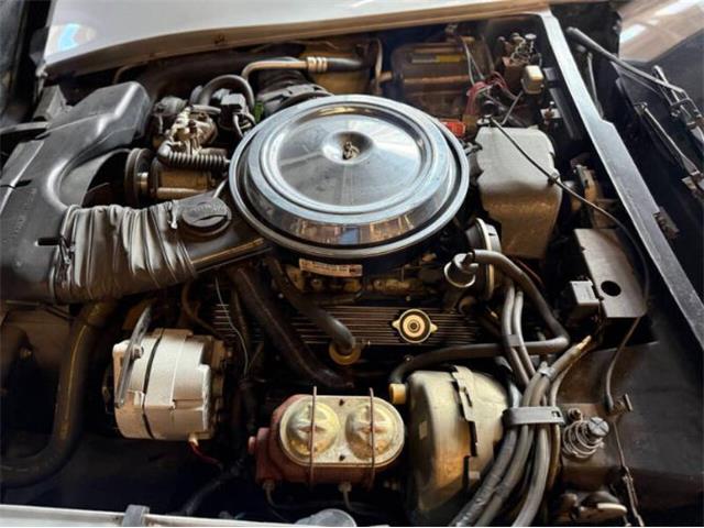 1981 Chevrolet Corvette (CC-2067957) for sale in Cadillac, Michigan