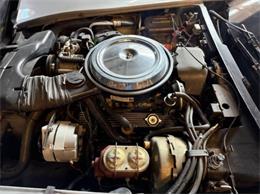 1981 Chevrolet Corvette (CC-2067957) for sale in Cadillac, Michigan