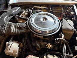 1981 Chevrolet Corvette (CC-2067957) for sale in Cadillac, Michigan