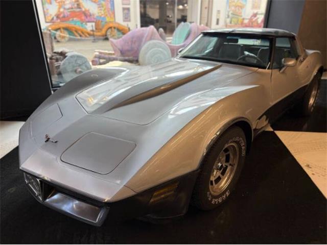1981 Chevrolet Corvette (CC-2067957) for sale in Cadillac, Michigan