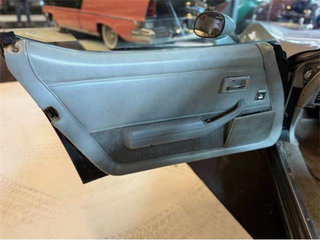 1981 Chevrolet Corvette (CC-2067957) for sale in Cadillac, Michigan