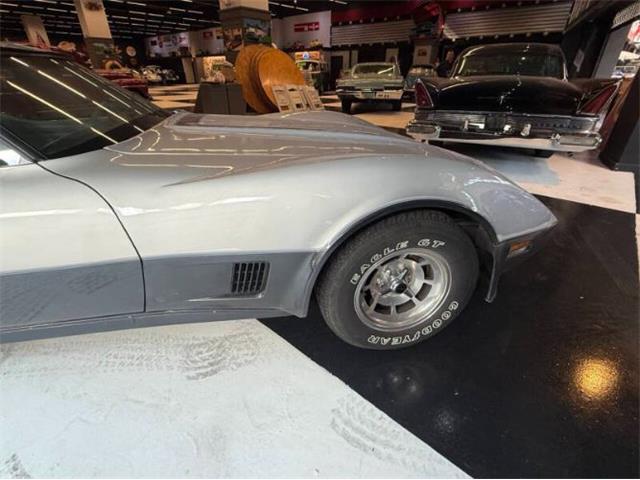 1981 Chevrolet Corvette (CC-2067957) for sale in Cadillac, Michigan