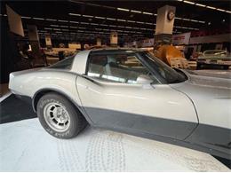 1981 Chevrolet Corvette (CC-2067957) for sale in Cadillac, Michigan