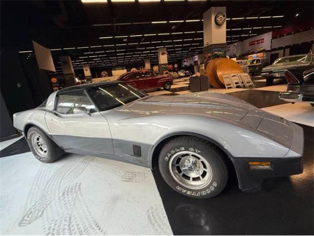 1981 Chevrolet Corvette (CC-2067957) for sale in Cadillac, Michigan