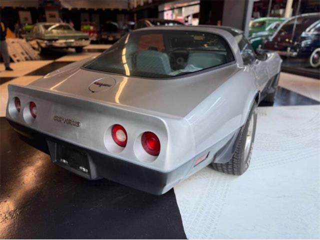 1981 Chevrolet Corvette (CC-2067957) for sale in Cadillac, Michigan