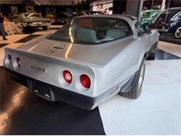 1981 Chevrolet Corvette (CC-2067957) for sale in Cadillac, Michigan