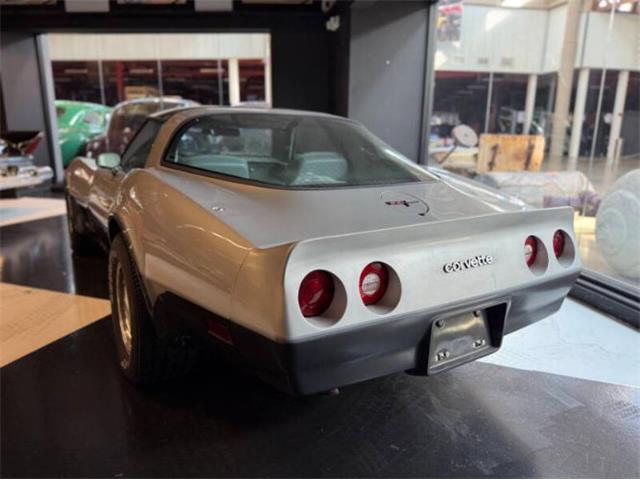 1981 Chevrolet Corvette (CC-2067957) for sale in Cadillac, Michigan