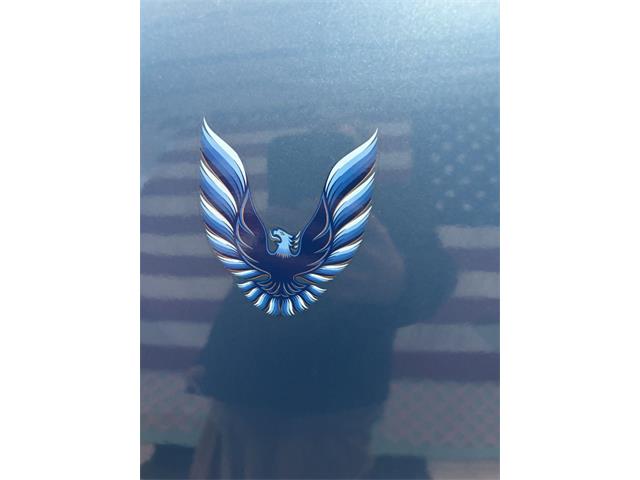 1979 Pontiac Firebird (CC-2067982) for sale in Annandale, Minnesota