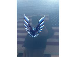 1979 Pontiac Firebird (CC-2067982) for sale in Annandale, Minnesota