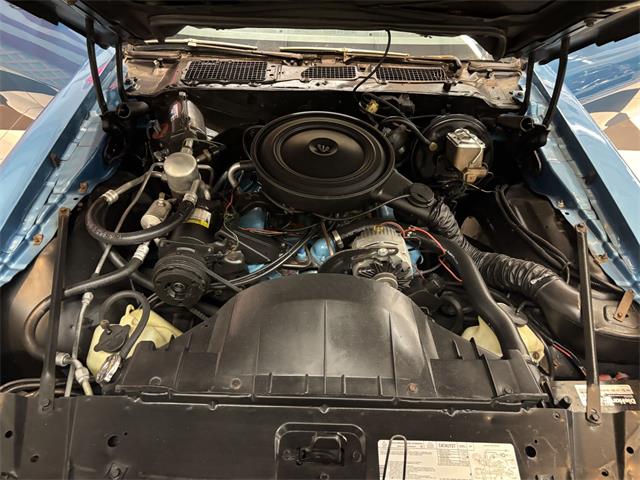 1979 Pontiac Firebird (CC-2067982) for sale in Annandale, Minnesota