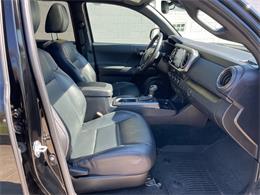 2023 Toyota Tacoma (CC-2067995) for sale in Hilton, New York