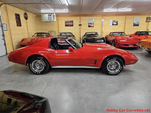 1975 Chevrolet Corvette (CC-2068048) for sale in MARTINSBURG, Pennsylvania
