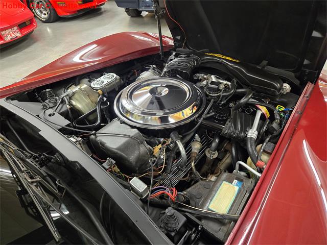 1981 Chevrolet Corvette (CC-2068050) for sale in MARTINSBURG, Pennsylvania