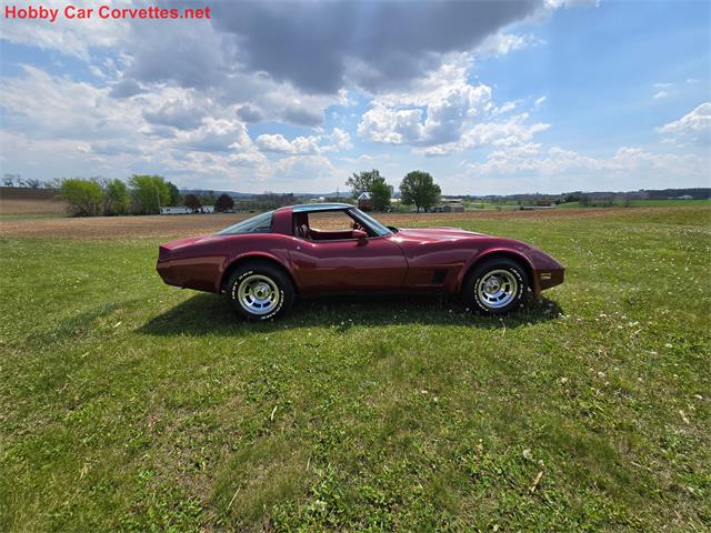 1981 Chevrolet Corvette (CC-2068050) for sale in MARTINSBURG, Pennsylvania