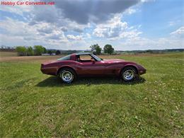 1981 Chevrolet Corvette (CC-2068050) for sale in MARTINSBURG, Pennsylvania