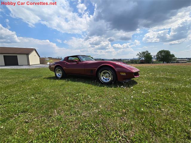 1981 Chevrolet Corvette (CC-2068050) for sale in MARTINSBURG, Pennsylvania