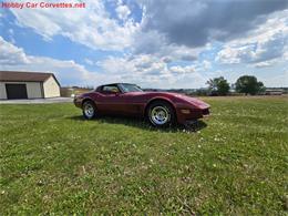 1981 Chevrolet Corvette (CC-2068050) for sale in MARTINSBURG, Pennsylvania