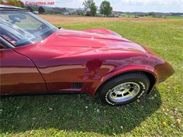 1981 Chevrolet Corvette (CC-2068050) for sale in MARTINSBURG, Pennsylvania