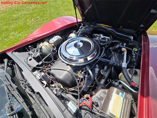 1981 Chevrolet Corvette (CC-2068050) for sale in MARTINSBURG, Pennsylvania
