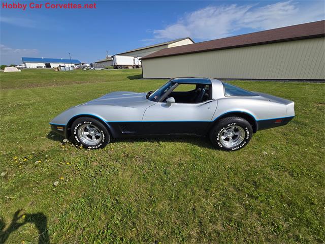 1981 Chevrolet Corvette (CC-2068051) for sale in MARTINSBURG, Pennsylvania