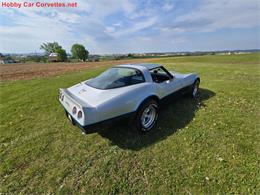 1981 Chevrolet Corvette (CC-2068051) for sale in MARTINSBURG, Pennsylvania