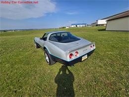 1981 Chevrolet Corvette (CC-2068051) for sale in MARTINSBURG, Pennsylvania