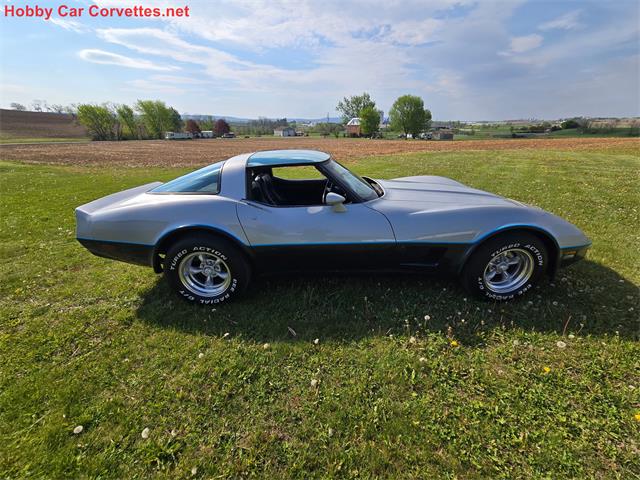 1981 Chevrolet Corvette (CC-2068051) for sale in MARTINSBURG, Pennsylvania