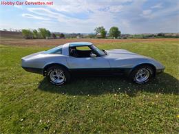 1981 Chevrolet Corvette (CC-2068051) for sale in MARTINSBURG, Pennsylvania