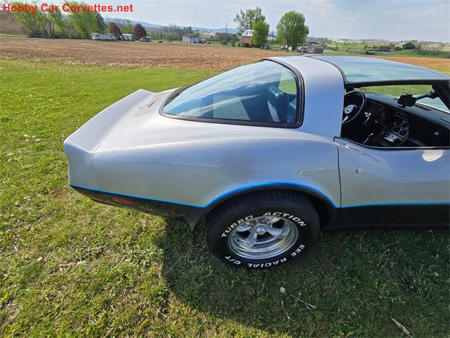 1981 Chevrolet Corvette (CC-2068051) for sale in MARTINSBURG, Pennsylvania