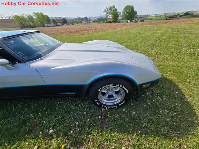 1981 Chevrolet Corvette (CC-2068051) for sale in MARTINSBURG, Pennsylvania