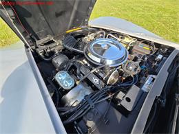 1981 Chevrolet Corvette (CC-2068051) for sale in MARTINSBURG, Pennsylvania