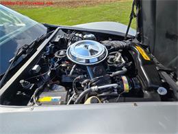 1981 Chevrolet Corvette (CC-2068051) for sale in MARTINSBURG, Pennsylvania